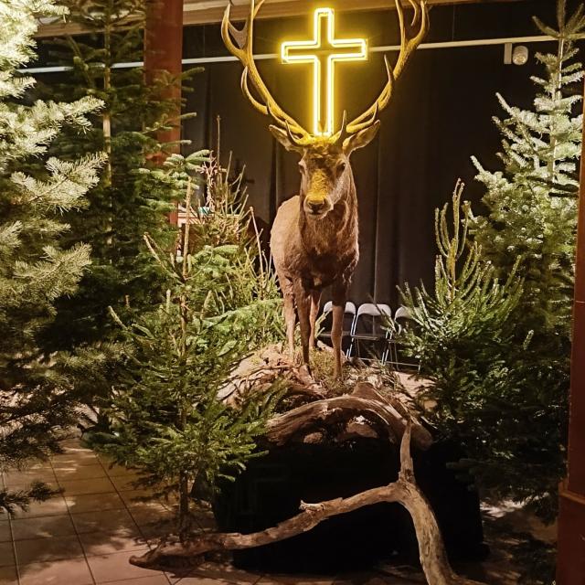 Leśni Święci w OKL