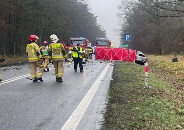 Śmiertelny w Gołuchowie