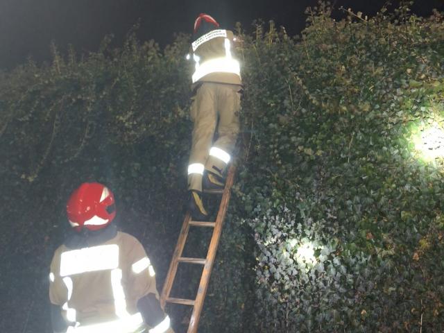 Nietypowa interwencja