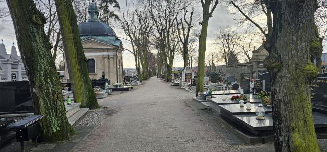 6 kwater zamiast 1 grobowca