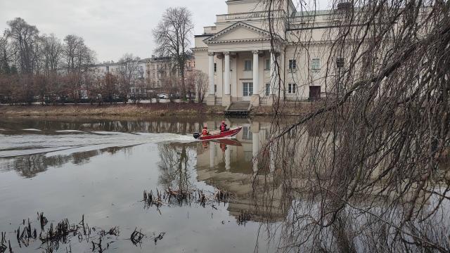Czego szukają ?