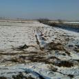 fot. KMP Kalisz