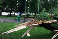 fot. GazetaKaliska.pl