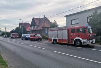 fot. twojens.pl