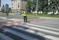 fot. KMP w Kaliszu