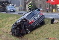 fot. mojaolesnica.pl