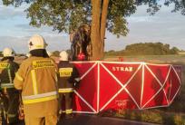 fot. asp. Przemysław Pietura