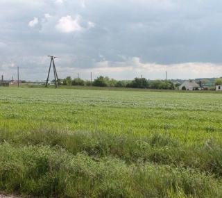 fot. UMiG Pleszew - tereny pod strefę