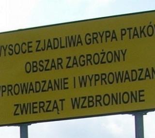 fot.GazetaKaliska.pl