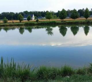 fot. UGiM Nowe Skalmierzyce