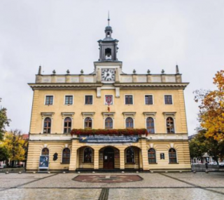fot. UM Ostrowa Wielkopolskiego