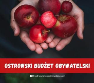 graf. UM Ostrów Wlkp.