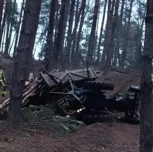 Tragedia w lesie